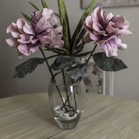 Deniastella * Skala Potamia (Thasos)