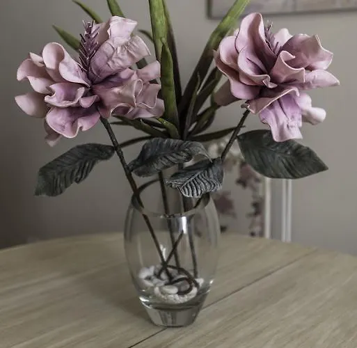 Deniastella * Skala Potamia (Thasos)